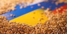 ДБР викрило на Одещині масштабну схему поборів з експортерів «зернового коридору»
