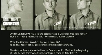 TatoAuschwitz