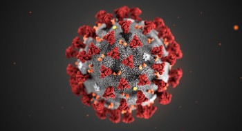 coronavirus2