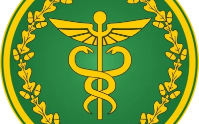 Фішингові листи нібито від імені ДПС: зафіксовано нову хвилю фейкової розсилки