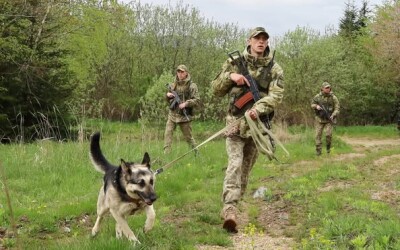 «Псевдотуристи» з Одещини не змогли пройти собачу охорону