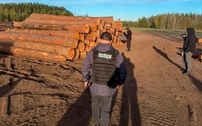 На Волині Нацполіція викрила «чорних» лісорубів, серед яких посадовці лісового господарства