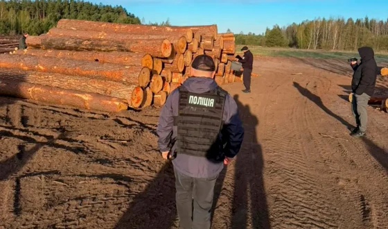 На Волині Нацполіція викрила «чорних» лісорубів, серед яких посадовці лісового господарства