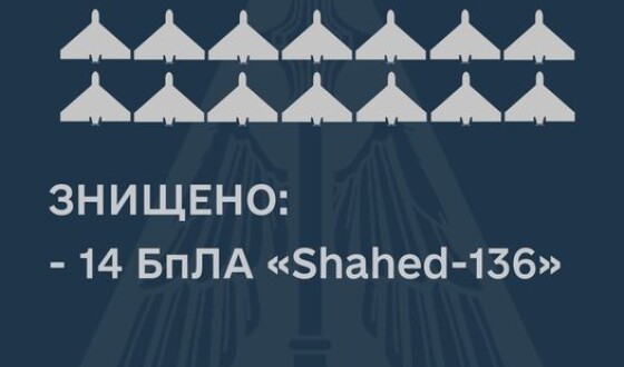 Вночі за дві години на Півдні збито 14 Shahed-ів