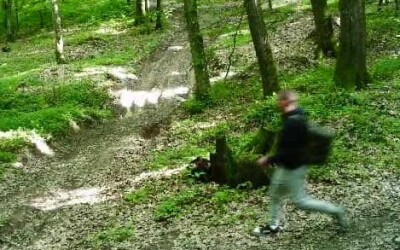 Прикордонники зі стрільбою затримали двох чоловіків призовного віку, які рухалися лісом в бік Словаччини