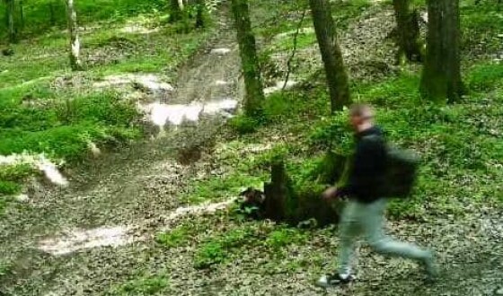 Прикордонники зі стрільбою затримали двох чоловіків призовного віку, які рухалися лісом в бік Словаччини