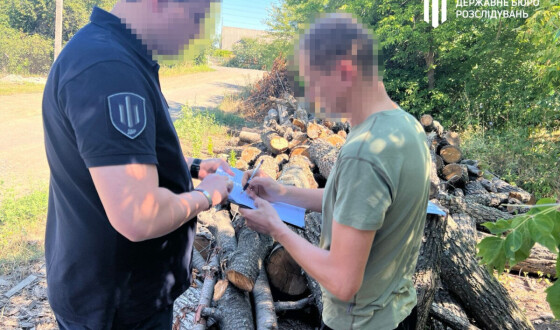 Посадовець лісництва дозволив вирубати сторічні дерева на понад 4 млн грн