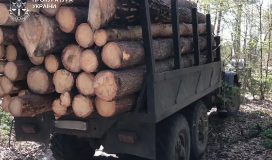 У Житомирському районі викрили схему незаконної вирубки лісу на понад 1,3 млн грн