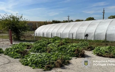 На Дніпропетровщині поліцейські викрили наркоаграріїв