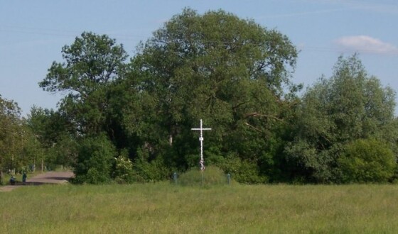 Сторінками боротьби УПА – 80 років тому