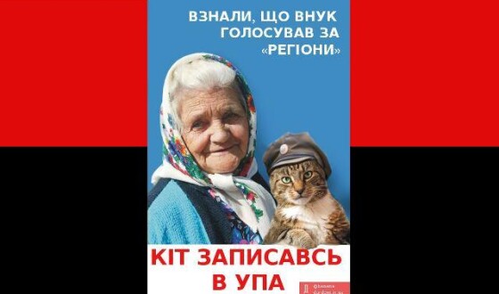 Бабуся і кіт проти Партії Регіонів