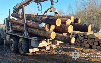 Поліцейські Тернопільщини викрили посадовця заповідника та його спільників на порубці дерев на майже 5 млн грн