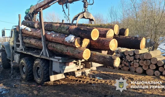 Поліцейські Тернопільщини викрили посадовця заповідника та його спільників на порубці дерев на майже 5 млн грн