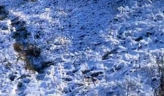 Соледар. Українські бійці біля Артемсолі, відео