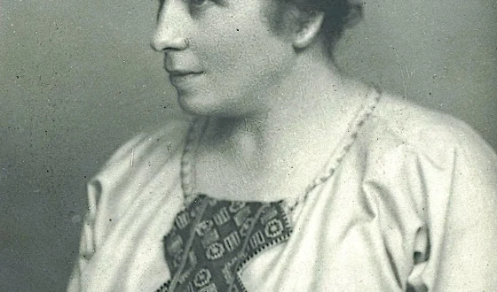 Круглий стіл «Архаїчна мова історичної прози Катрі Гриневичевої»