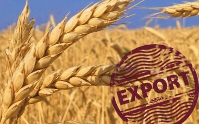 Як малому господарству розпочати експорт зерна після скасування ліцензування