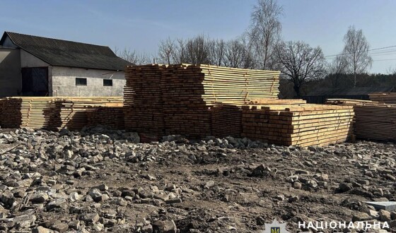 Житомирські поліцейські викрили групу «чорних лісорубів», серед яких майстер лісу
