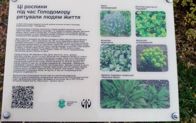 У Полтаві біля знаку жертвам Голодомору висадили рослини, які рятували життя під час геноциду й встановили інформтаблицю