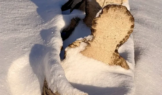 Зима як випробування і дар