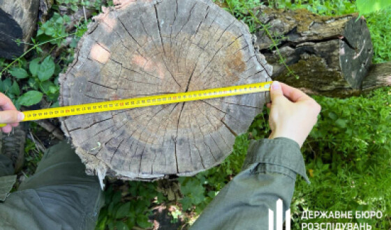 На Харківщині судитимуть лісничого через службову недбалість якого вирубали ліс на 1 млн гривень