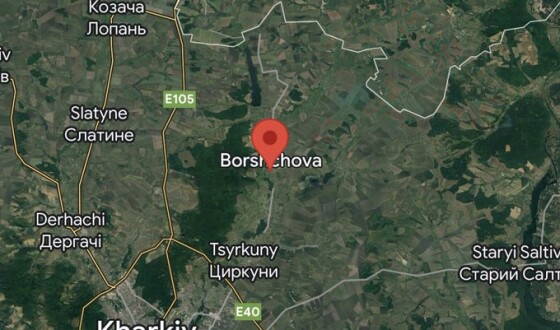 Українські війська зайшли в Борщову, відео