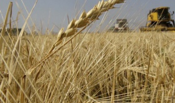 Україна за півроку експортувала майже 10 млн тонн зерна &#8211; Мінагрополітики