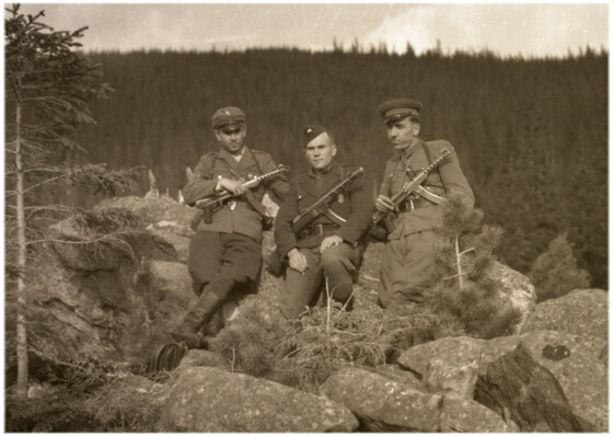 Сторінками боротьби УПА – 80 років тому