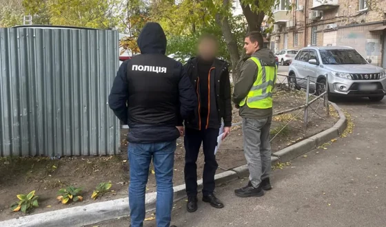 На Житомирщині посадовці вирубали ліс на понад 14,7 мільйона гривень