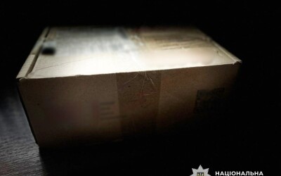 На Житомирщині поліція викрила підпільного «постачальника» нелегального бурштину та наркотиків