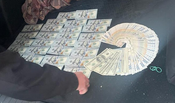 Начальниця Житомирської митниці організувала схему поборів при розмитненні товарів