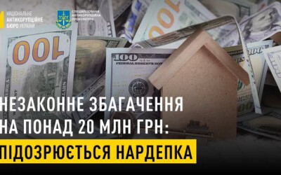 Чинна народна депутатка незаконно збагатилась на 20 млн грн