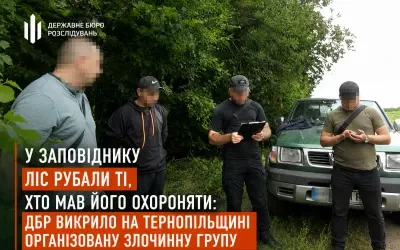 Охоронці природи рубали ліс на території природного заповідника «Медобори»