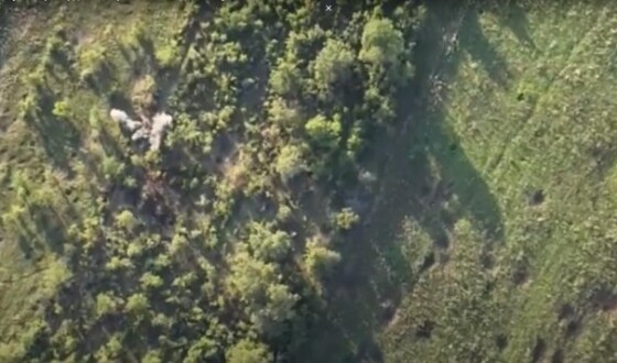 Під Бахмутом прикордонники розбили бліндаж з окупантами (+відео)