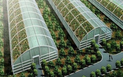 Держава змінила умови ґранту на теплицю