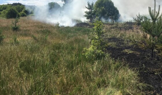 Ворог продовжує обстріли прикордоння Сумщини та Чернігівщини