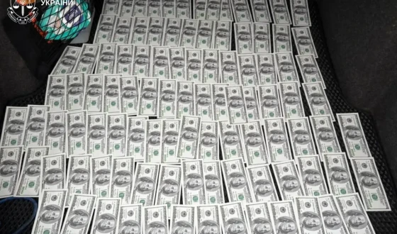 10 тис. доларів США за переправлення за кордон у багажному відділенні автобуса