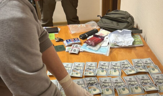 На Вінниччині ДБР викрило на розкраданні деревини та системному хабарництві директора однієї з філій держпідприємства «Ліси України»