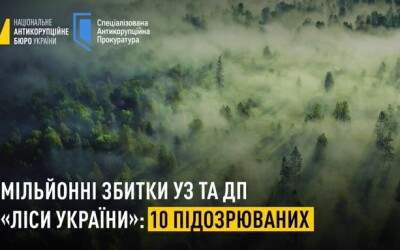 27 млн грн збитків Укрзалізниці та ДП «Ліси України»: 10 підозрюваних