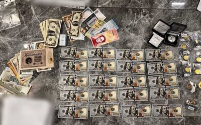 На Закарпатті ліквідували канал незаконного переправлення через кордон