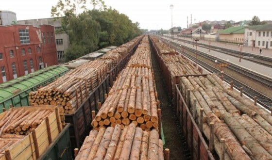 Україна стала лідером з незаконного постачання деревини до Європи