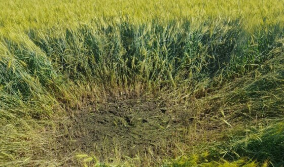 На Сумщині прикордонники збили ворожий ударний дрон