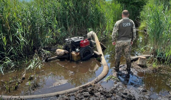 Бурштинові «бізнесмени» повернулися до видобутку &#8220;сонячного каменю&#8221;