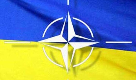 Оцінка відносин між Україною і НАТО  напередодні Саміту НАТО у Чікаґо