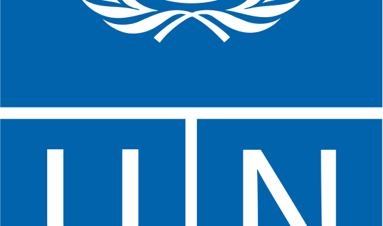 ЄС, ПРООН і Мінцифра покращують інфраструктуру адміністративних послуг у постраждалих від війни громадах