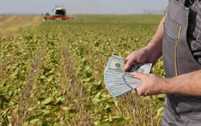 Як скористатись безвідсотковим кредитом до 1 млн грн для нових фермерів