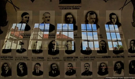 Карпатська Україна в фільмах