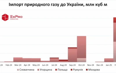 Імпорт газу в лютому зріс до максимуму за 1,5 роки – 512 млн куб м