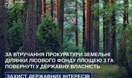 За втручання прокуратури земельні ділянки лісового фонду площею 3 га повернуті у державну власність