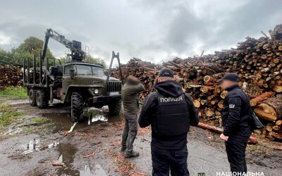 На Житомирщині поліцейські викрили групу «чорних» лісорубів, які нанесли збитки на понад 33 мільйони гривень