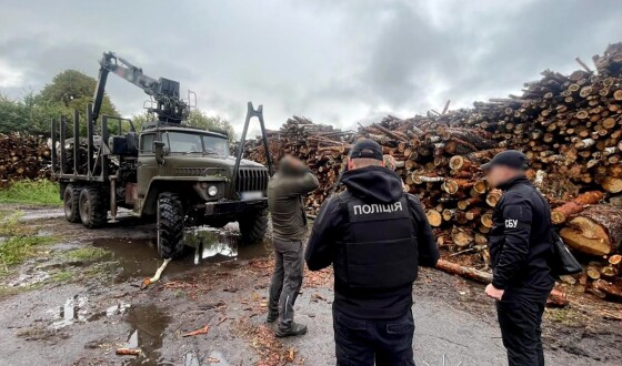На Житомирщині поліцейські викрили групу «чорних» лісорубів, які нанесли збитки на понад 33 мільйони гривень